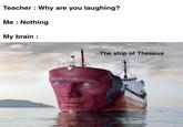 Teacher : Why are you laughing? Me : Nothing My brain : The ship of Theseus