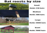 Bat roosts by size Small -Holds 210 bats Medium -Holds 300 bats Large -Holds 2000 bats Giant -Holds 7000 bats