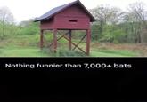 Nothing funnier than 7,000+ bats