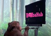BUbaHub