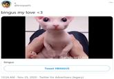 @koopashi bingus my love <3 SanctuaryLads bingus Tweet #BINGUS 10:24 AM · Nov 25, 2020 · Twitter for Advertisers (legacy)