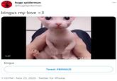 huge spiderman @hugespiderman bingus my love <3 1:37 SanctuaryLads bingus Tweet #BINGUS 1:10 PM · Nov 25, 2020 · Twitter for iPhone