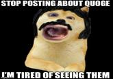 STOP POSTING ABOUT QUOGE I'M TIRED OF SEEING THEM imgflipicom