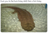 F--- you its flat f--- friday AND filet o fish friday @史视新闻