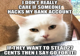 I DON'T REALLY CARE IF SOMEONE HACKS MY BANK ACCOUNT IFTHEY WANT TO STEAL 27 CENTS THEN I SAY GO FOR IT!