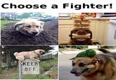 Choose a Fighter! KEEP OFF IG: TheFunnylntrovert