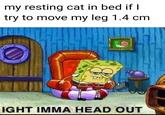 my resting cat in bed if I try to move my leg 1.4 cm u/taykaybo IGHT IMMA HEAD OUT