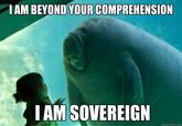 T AM BEYOND YOUR COMPREHENSION I AM SOVEREIGN quickmeme.com