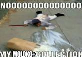 NO0000000000000 WE MY MOLOKO COLLECTION