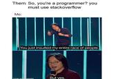 Them: So, you're a programmer? you must use stackoverflow Me: You just insulted my entire race of people. But yes. made with mematic