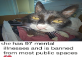 she has 97 mental illnesses and is banned from most public spaces
