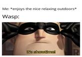 Me: *enjoys the nice relaxing outdoors* Wasp: It's showtime!