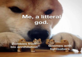 Me, a litteral god. Zombies from Gnomes with bio annihilation lightsabers