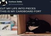 Curious Zelda @CuriousZelda CUT MY LIFE INTO PIECES THIS IS MY CARDBOARD FORT