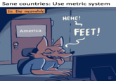 Sane countries: Use metric system In the meanwhile НЕНЕ! FEET! America