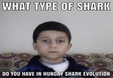 WHAT TYPE OF SHARK DO YOU HAVE IN HUNGRY SHARK EVOLUTION