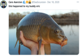 Caro Asercion COM @SeaExcursion · Dec 18, 2020 ... this happened to my buddy eric