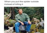 spider savior  When you put the spider outside instead of killing it