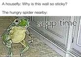 A housefly: Why is this wall so sticky? The hungry spider nearby: soup time made with mematic