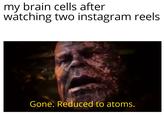my brain cells after watching two instagram reels Gone. Reduced to atoms.