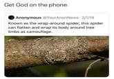 Get God on the phone. Anonymous @YourAnonNews · 2/1/19 Known as the wrap-around spider, this spider can flatten and wrap its body around tree limbs as camouflage.
