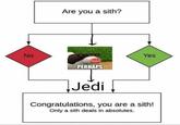 Are you a sith? No Yes PERHAPS Jedi Congratulations, you are a sith! Only a sith deals in absolutes.