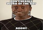 DON CHEADLE WORD OF THE DAY AGONY