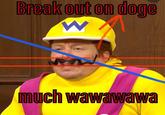 Break out on doge much wawawawa