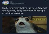 edj @jamangaikfixen Daily reminder that Porgs have forward facing eyes, a key indicator of being a predatory creature