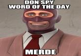 DON SPY WORD OF THE DAY MERDE