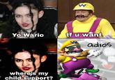 Yo Wario tf u want adios where's my child support?