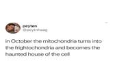 peytøn @peytnhaag in October the mitochondria turns into the frightochondria and becomes the haunted house of the cell