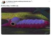 A Tonberry slowly walking towards you @ProfChestnut ... Every day, I wake up.