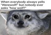 When everybody always yells "Werewolf!" but nobody ever asks "how wolf?"