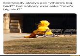 Everybody always ask "where's big bird?" but nobody ever asks "how's big bird?" ifunny.co