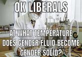 ОK LIBERALS AT WHAT TEMPERATURE DOES GENDER FLUID BECOME GENDER SOLİD? Typek