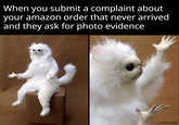 When you submit a complaint about your amazon order that never arrived and they ask for photo evidence u/monkefy