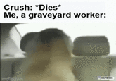 Crush: *Dies* Me, a graveyard worker: imgfiocom KAPWING