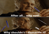 After all... why not? Why shouldn't I dismantle it?