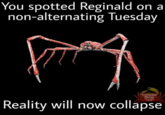 You spotted Reginald on a non-alternating Tuesday Crustacean Memes f Crabby Fiends Reality will now collapse
