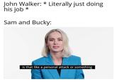 John Walker: * Literally just doing his job * Sam and Bucky: is that like a personal attack or something