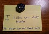 I killed our Only Healer My owner has not played since