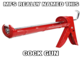 MFS REALLY NAMED THIS @trashcanpaul C--- GUN