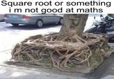 Square root or something im not good at maths