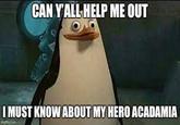 CANY'ALL HELP ME OUT I MUST KNOW ABOUT MY HERO ACADAMIA