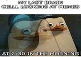 MY LAST BRAIN CELLL LOOKING AT MEMES AT 2:30 IN THE MORNING