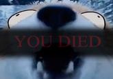 YOU DIED