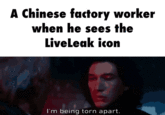 A Chinese factory worker when he sees the Liveleak icon I'm being torn apart.