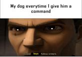My dog everytime I give him a command Good boys follow orders.
