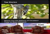 Top Stories Where Are the Billions of Cicadas? They've Been Delayed where Cicadas Made with: The fear of the impending cicada Invasion